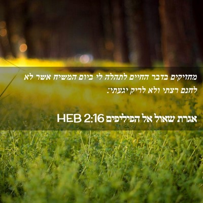 Picture 02 - אגרת שאול אל הפיליפים 2:16 HEB - מחזיקים בדבר החיים לתהלה - Bible Verse Picture