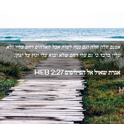 Picture 02 - אגרת שאול אל הפיליפים 2:27 HEB - אמנם חלה חלה וגם נטה למות - Bible Verse Picture