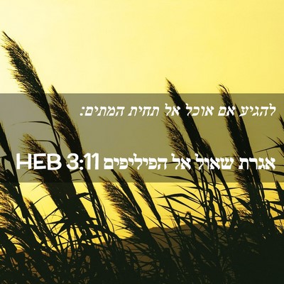 Picture 02 - אגרת שאול אל הפיליפים 3:11 HEB - להגיע אם אוכל אל תחית - Bible Verse Picture