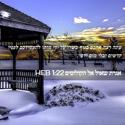 Picture 02 - אגרת שאול אל הקולוסים 1:22 HEB - עתה רצה אתכם בגוף בשרו על - Bible Verse Picture