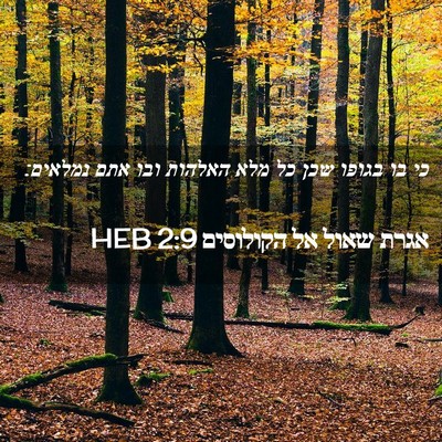 Picture 02 - אגרת שאול אל הקולוסים 2:9 HEB - כי בו בגופו שכן כל מלא - Bible Verse Picture