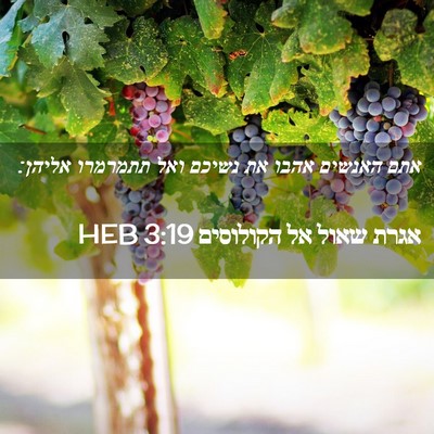 Picture 02 - אגרת שאול אל הקולוסים 3:19 HEB - אתם האנשים אהבו את נשיכם - Bible Verse Picture
