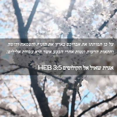Picture 02 - אגרת שאול אל הקולוסים 3:5 HEB - על כן תמותתו את אבריכם בארץ - Bible Verse Picture