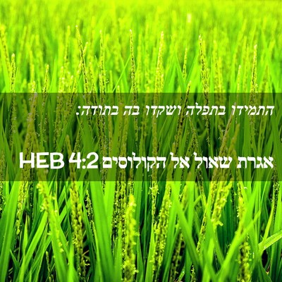 Picture 02 - אגרת שאול אל הקולוסים 4:2 HEB - התמידו בתפלה ושקדו בה - Bible Verse Picture