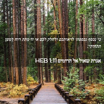 Picture 02 - אגרת שאול אל הרומים 1:11 HEB - כי נכסף נכספתי לראותכם - Bible Verse Picture