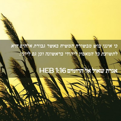 Picture 02 - אגרת שאול אל הרומים 1:16 HEB - כי אינני בוש מבשורת המשיח - Bible Verse Picture