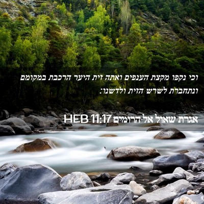 Picture 02 - אגרת שאול אל הרומים 11:17 HEB - וכי נקפו מקצת הענפים ואתה - Bible Verse Picture