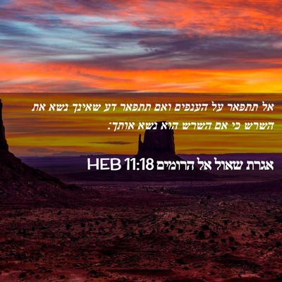 Picture 02 - אגרת שאול אל הרומים 11:18 HEB - אל תתפאר על הענפים ואם - Bible Verse Picture