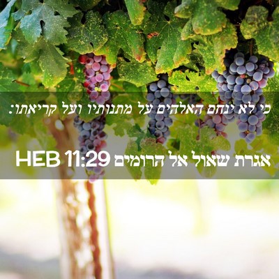 Picture 02 - אגרת שאול אל הרומים 11:29 HEB - כי לא ינחם האלהים על - Bible Verse Picture