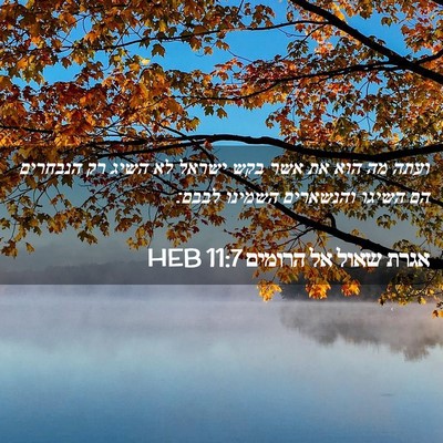 Picture 02 - אגרת שאול אל הרומים 11:7 HEB - ועתה מה הוא את אשר בקש - Bible Verse Picture