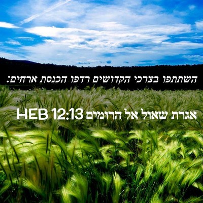 Picture 02 - אגרת שאול אל הרומים 12:13 HEB - השתתפו בצרכי הקדושים רדפו - Bible Verse Picture