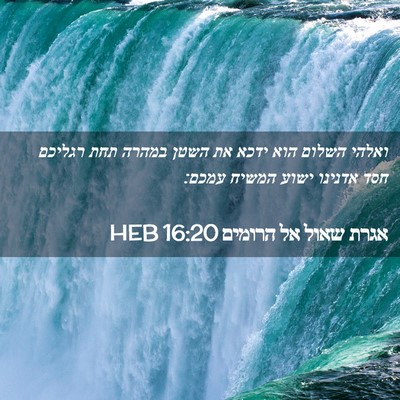 Picture 02 - אגרת שאול אל הרומים 16:20 HEB - ואלהי השלום הוא ידכא את - Bible Verse Picture