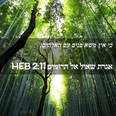 Picture 02 - אגרת שאול אל הרומים 2:11 HEB - כי אין משא פנים עם - Bible Verse Picture