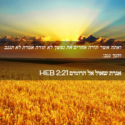 Picture 02 - אגרת שאול אל הרומים 2:21 HEB - ואתה אשר תורה אחרים את נפשך - Bible Verse Picture