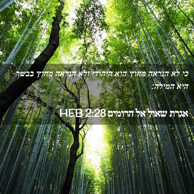 Picture 02 - אגרת שאול אל הרומים 2:28 HEB - כי לא הנראה מחוץ הוא היהודי - Bible Verse Picture