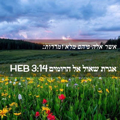 Picture 02 - אגרת שאול אל הרומים 3:14 HEB - אשר אלה פיהם מלא - Bible Verse Picture