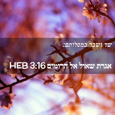Picture 02 - אגרת שאול אל הרומים 3:16 HEB - שד ושבר - Bible Verse Picture