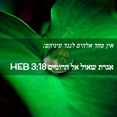 Picture 02 - אגרת שאול אל הרומים 3:18 HEB - אין פחד אלהים לנגד - Bible Verse Picture