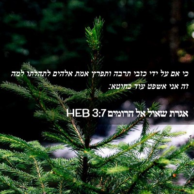 Picture 02 - אגרת שאול אל הרומים 3:7 HEB - כי אם על ידי כזבי תרבה - Bible Verse Picture
