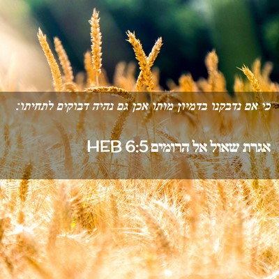 Picture 02 - אגרת שאול אל הרומים 6:5 HEB - כי אם נדבקנו בדמיון מותו - Bible Verse Picture