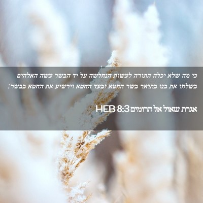 Picture 02 - אגרת שאול אל הרומים 8:3 HEB - כי מה שלא יכלה התורה לעשות - Bible Verse Picture
