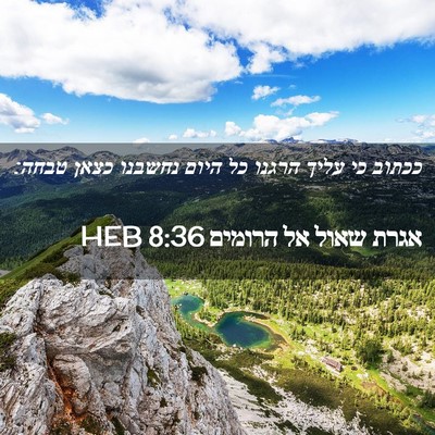 Picture 02 - אגרת שאול אל הרומים 8:36 HEB - ככתוב כי עליך הרגנו כל היום - Bible Verse Picture
