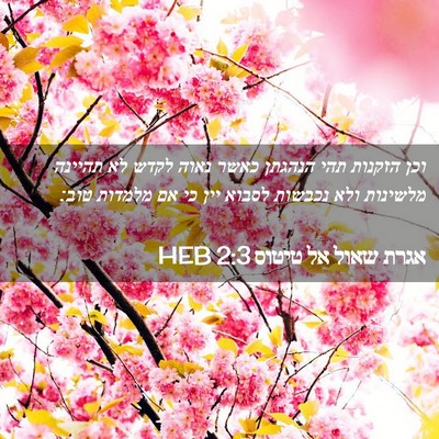 Picture 02 - אגרת שאול אל טיטוס 2:3 HEB - וכן הזקנות תהי הנהגתן כאשר - Bible Verse Picture