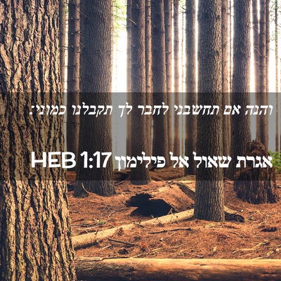 Picture 02 - אגרת שאול אל פילימון 1:17 HEB - והנה אם תחשבני לחבר לך - Bible Verse Picture