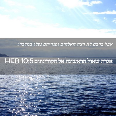 Picture 02 - אגרת שאול הראשונה אל הקורינתים 10:5 HEB - אבל ברבם לא רצה האלהים - Bible Verse Picture