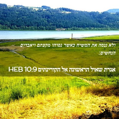 Picture 02 - אגרת שאול הראשונה אל הקורינתים 10:9 HEB - ולא ננסה את המשיח כאשר - Bible Verse Picture