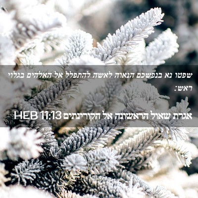 Picture 02 - אגרת שאול הראשונה אל הקורינתים 11:13 HEB - שפטו נא בנפשכם הנאוה לאשה - Bible Verse Picture