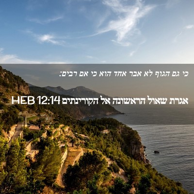 Picture 02 - אגרת שאול הראשונה אל הקורינתים 12:14 HEB - כי גם הגוף לא אבר אחד הוא כי - Bible Verse Picture
