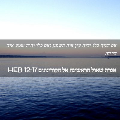 Picture 02 - אגרת שאול הראשונה אל הקורינתים 12:17 HEB - אם הגוף כלו יהיה עין איה - Bible Verse Picture