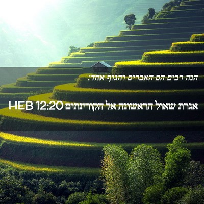 Picture 02 - אגרת שאול הראשונה אל הקורינתים 12:20 HEB - הנה רבים הם האברים והגוף - Bible Verse Picture