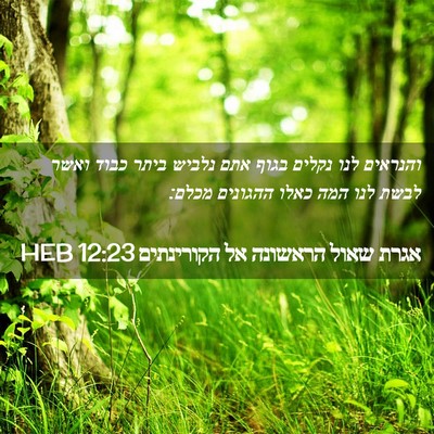 Picture 02 - אגרת שאול הראשונה אל הקורינתים 12:23 HEB - והנראים לנו נקלים בגוף אתם - Bible Verse Picture