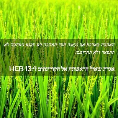 Picture 02 - אגרת שאול הראשונה אל הקורינתים 13:4 HEB - האהבה מארכת אף ועשה חסד - Bible Verse Picture