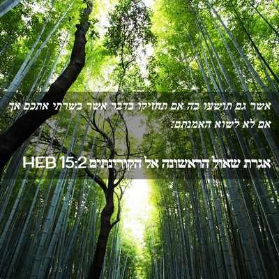 Picture 02 - אגרת שאול הראשונה אל הקורינתים 15:2 HEB - אשר גם תושעו בה אם תחזיקו - Bible Verse Picture
