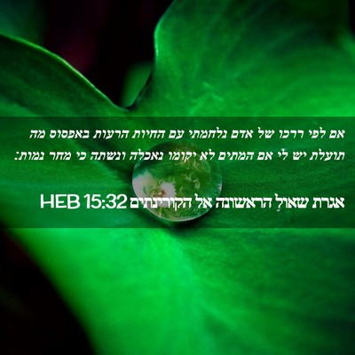 Picture 02 - אגרת שאול הראשונה אל הקורינתים 15:32 HEB - אם לפי ררכו של אדם נלחמתי - Bible Verse Picture
