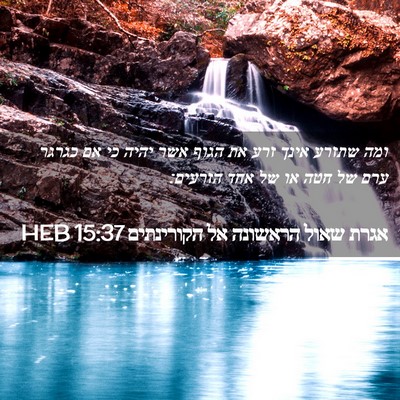 Picture 02 - אגרת שאול הראשונה אל הקורינתים 15:37 HEB - ומה שתזרע אינך זרע את הגוף - Bible Verse Picture