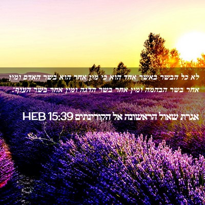 Picture 02 - אגרת שאול הראשונה אל הקורינתים 15:39 HEB - לא כל הבשר באשר אחד הוא כי - Bible Verse Picture