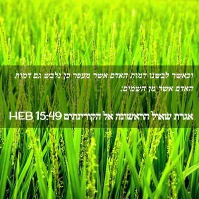 Picture 02 - אגרת שאול הראשונה אל הקורינתים 15:49 HEB - וכאשר לבשנו דמות האדם אשר - Bible Verse Picture