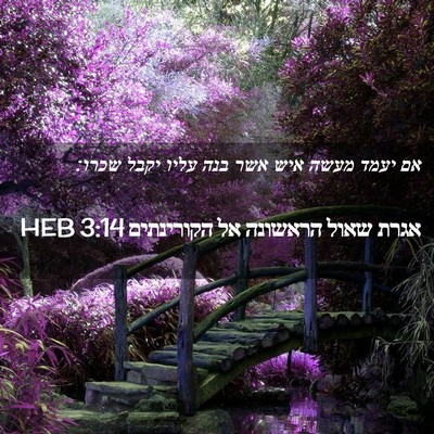 Picture 02 - אגרת שאול הראשונה אל הקורינתים 3:14 HEB - אם יעמד מעשה איש אשר בנה - Bible Verse Picture
