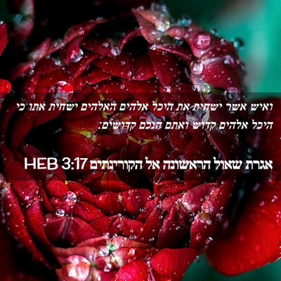 Picture 02 - אגרת שאול הראשונה אל הקורינתים 3:17 HEB - ואיש אשר ישחית את היכל - Bible Verse Picture