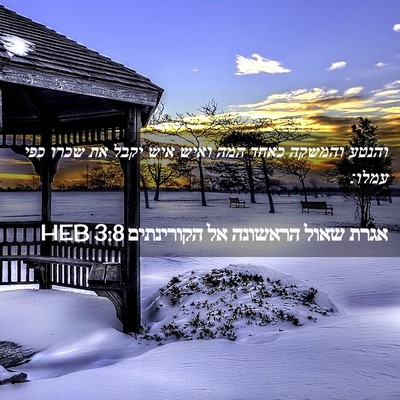 Picture 02 - אגרת שאול הראשונה אל הקורינתים 3:8 HEB - והנטע והמשקה כאחד המה ואיש - Bible Verse Picture