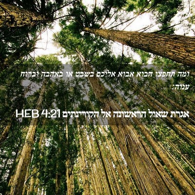 Picture 02 - אגרת שאול הראשונה אל הקורינתים 4:21 HEB - ומה תחפצו הבוא אבוא אליכם - Bible Verse Picture