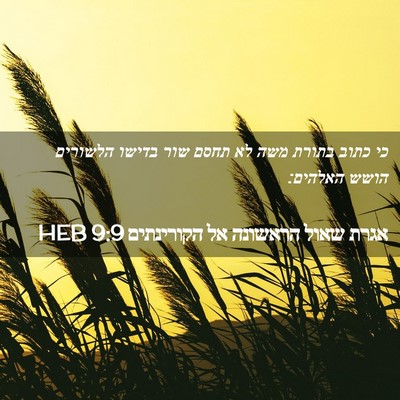 Picture 02 - אגרת שאול הראשונה אל הקורינתים 9:9 HEB - כי כתוב בתורת משה לא תחסם - Bible Verse Picture
