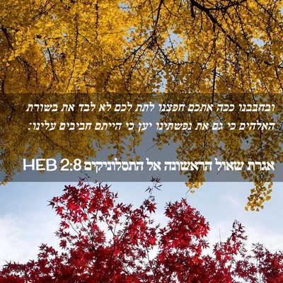 Picture 02 - אגרת שאול הראשונה אל התסלוניקים 2:8 HEB - ובחבבנו ככה אתכם חפצנו לתת - Bible Verse Picture