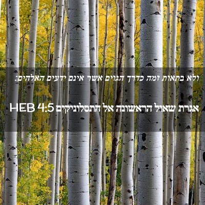 Picture 02 - אגרת שאול הראשונה אל התסלוניקים 4:5 HEB - ולא בתאות זמה כדרך הגוים - Bible Verse Picture