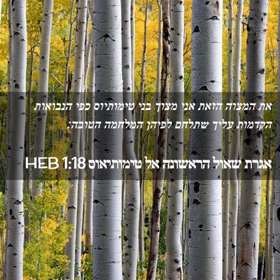 Picture 02 - אגרת שאול הראשונה אל טימותיאוס 1:18 HEB - את המצוה הזאת אני מצוך בני - Bible Verse Picture