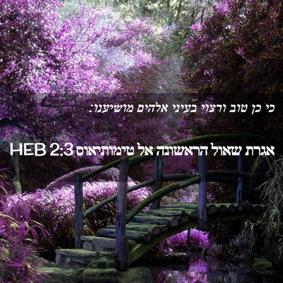Picture 02 - אגרת שאול הראשונה אל טימותיאוס 2:3 HEB - כי כן טוב ורצוי בעיני אלהים - Bible Verse Picture